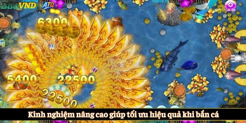  Kinh nghiệm nâng cao giúp tối ưu hiệu quả khi bắn cá